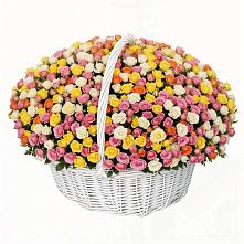 Премиум букет из: Розы в Советске Тульской области