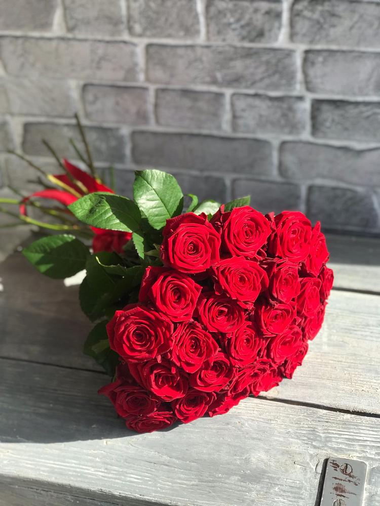 Букет Красные розы Фридом в Советске Тульской области