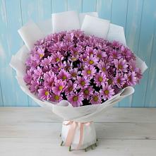 Букет цветов из:  Хризантемы в Советске Тульской области