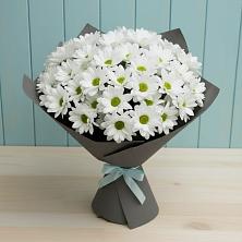 Букет цветов из:  Хризантемы в Советске Тульской области